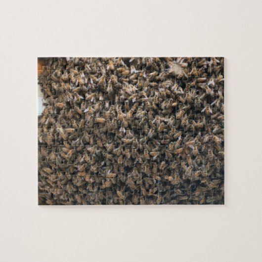 zwerm legpuzzel (Horizontaal)