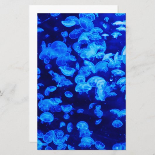 zwerm van kwallen briefpapier (Voorkant / Achterkant)