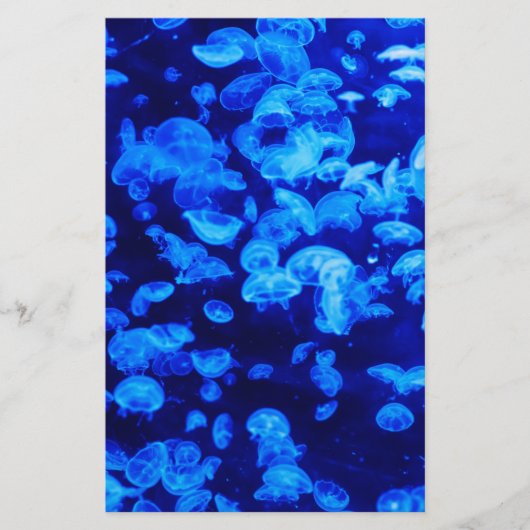 zwerm van kwallen briefpapier (Voorkant)