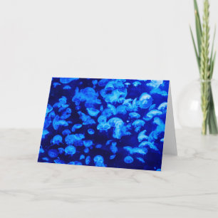 zwerm van kwallen kaart