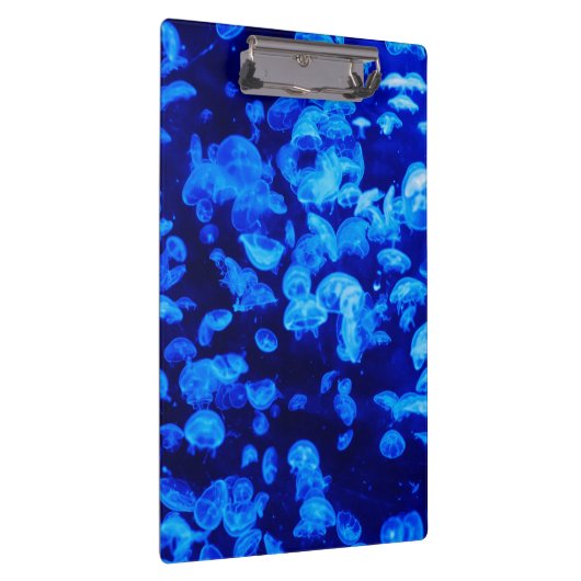 zwerm van kwallen klembord (Rechts)