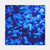 zwerm van kwallen magneet (Voorkant)