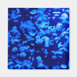 zwerm van kwallen magneet