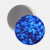 zwerm van kwallen magneet (Voorkant / Achterkant)