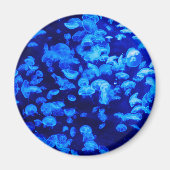 zwerm van kwallen magneet (Voorkant)