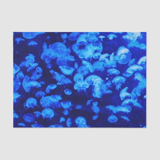 zwerm van kwallen tissuepapier (Voorkant)