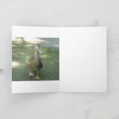 Zwervende Eend Kaart (Binnen)