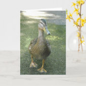 Zwervende Eend Kaart (Gele Bloem)