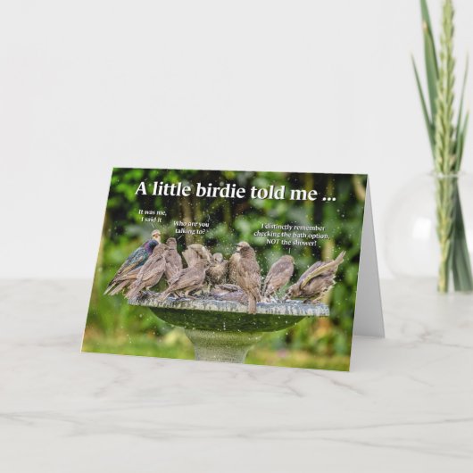 Zwervende vogelkaart kaart (Voorkant)