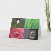 Zwerver die van de sterrenkijkerij - verder de kaart (Achterkant)