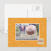 Zweven kitter briefkaart (Voorkant / Achterkant)