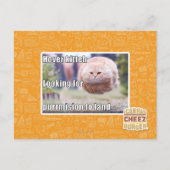 Zweven kitter briefkaart (Voorkant)