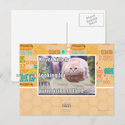 Zweven kitter briefkaart (Voorkant / Achterkant)