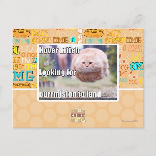 Zweven kitter briefkaart (Voorkant)