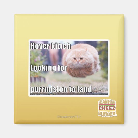 Zweven kitter magneet (Voorkant)