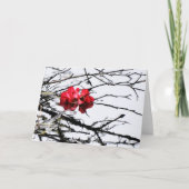zwevend rood kaart (Voorkant)