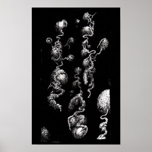 Zwevende Afwijkingen Poster