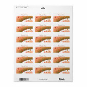 Zwevende Kubussen en Hartjes Bedankt Labels (Full Sheet)