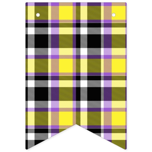 Zweverige Eclectische Boho Nonbinary Gestreepte Pr Vlaggetjes (Tweede vlag)