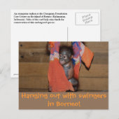 Zwingergroeten van avontuurreizen briefkaart (Voorkant / Achterkant)