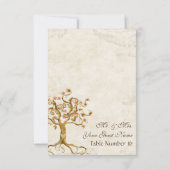 Zwirlboomwortelen verouderd nummer van de parktabe kaart (Achterkant)