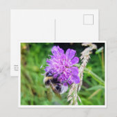 Zwischen Blüte & Brummen – Natur im Kleinformat Briefkaart (Voorkant / Achterkant)