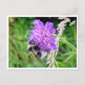 Zwischen Blüte & Brummen – Natur im Kleinformat Briefkaart (Voorkant)