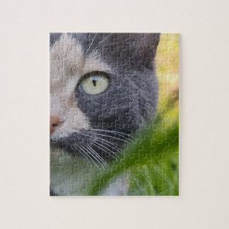 Zwischen Halmen – Kobayashi im Grünen Legpuzzel