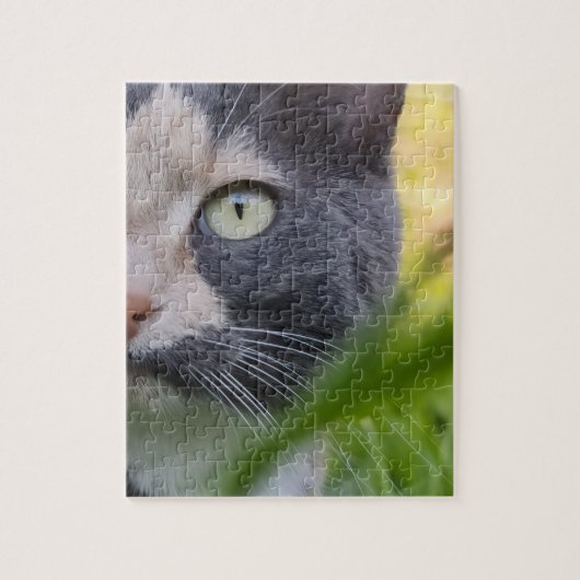 Zwischen Halmen – Kobayashi im Grünen Legpuzzel (Verticaal)
