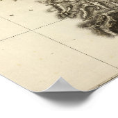 Zwitserland 13 poster (Hoek)