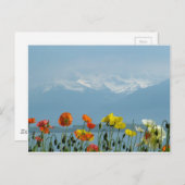 zwitserland-16800 briefkaart (Voorkant / Achterkant)