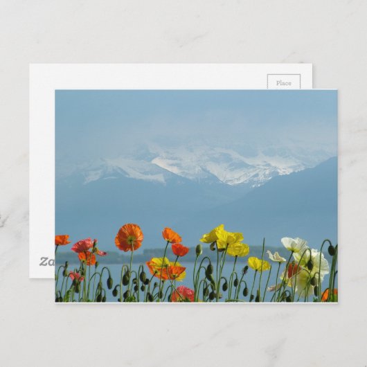 zwitserland-16800 briefkaart (Voorkant / Achterkant)