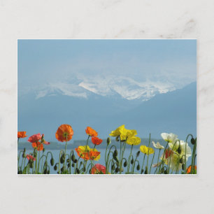 zwitserland-16800 briefkaart