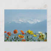 zwitserland-16800 briefkaart (Voorkant)