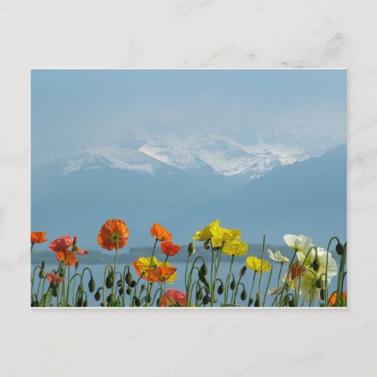 zwitserland-16800 briefkaart (Voorkant)