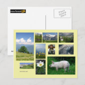 Zwitserland briefkaart (Voorkant / Achterkant)