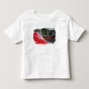 ZWITSERLAND, GENEVE: 75e jaarlijkse autosalon van  Kinder Shirts