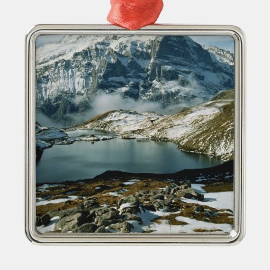 Zwitserland, Grindelwald, Bernese Alps, Uitzicht Metalen Ornament (Voorkant)