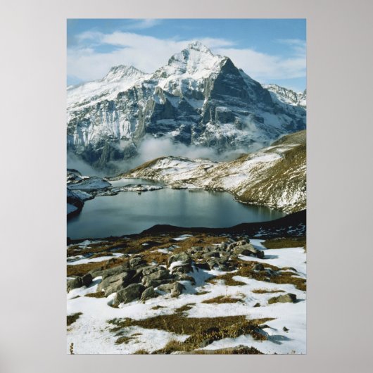 Zwitserland, Grindelwald, Bernese Alps, Uitzicht Poster (Voorkant)