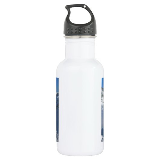 Zwitserland, Jungfraujoch, top van Europa Waterfles (Achterkant)