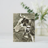  Zwitserland Koe en koeienbel Briefkaart (Staand voorkant)