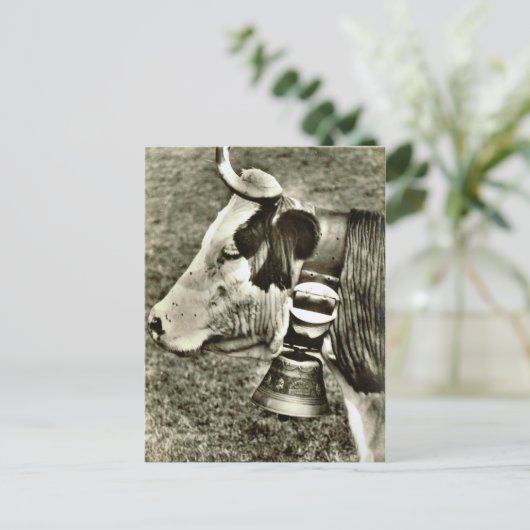  Zwitserland Koe en koeienbel Briefkaart (Staand voorkant)