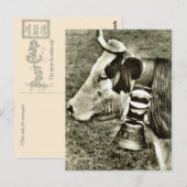  Zwitserland Koe en koeienbel Briefkaart (Voorkant / Achterkant)