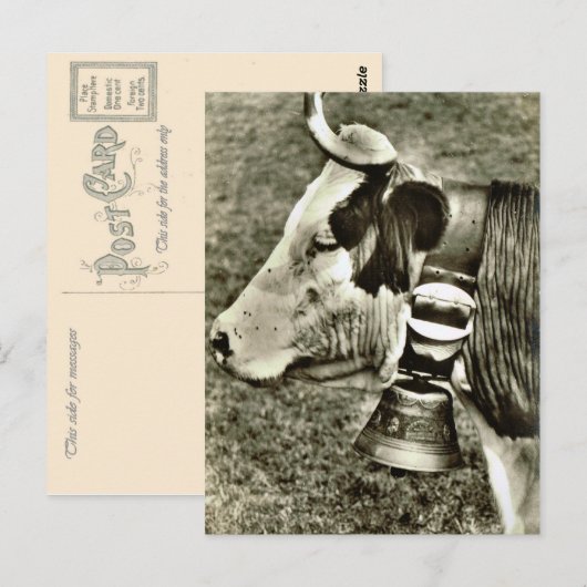  Zwitserland Koe en koeienbel Briefkaart (Voorkant / Achterkant)