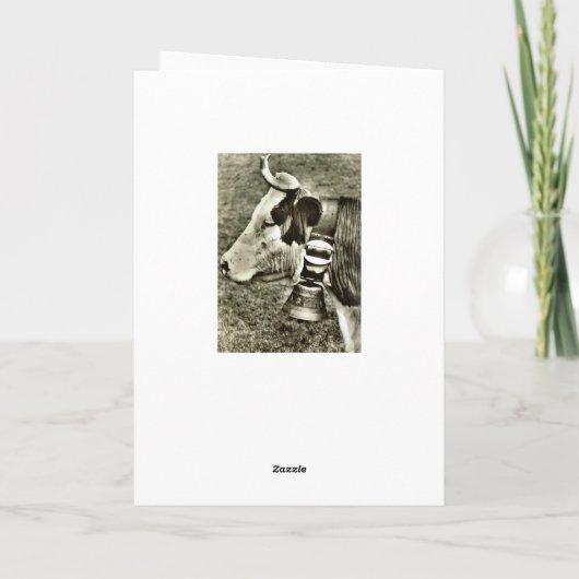  Zwitserland, koe met een koe bel Feestdagen Kaart (Achterkant)