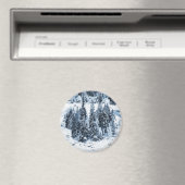 Zwitserland Magneet (Insitu (Vaatwasser))