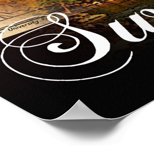 zwitserland poster (Hoek)