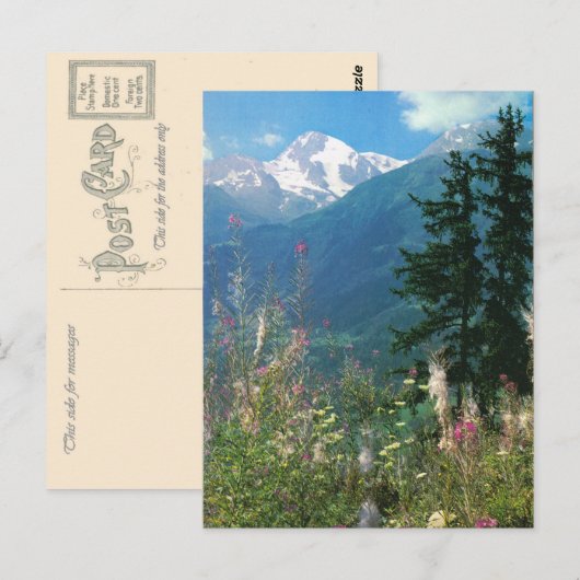 Zwitserland, regio Jungfrau in lente Briefkaart (Voorkant / Achterkant)