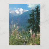 Zwitserland, regio Jungfrau in lente Briefkaart (Voorkant)