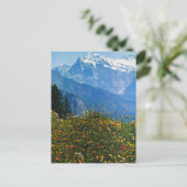  Zwitserland, Schynigge Platte, 1909 6 Briefkaart (Staand voorkant)